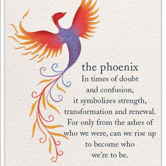 Meet your Posher, Anjanette - Picture 4 of 14